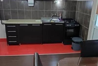 Apartament Spatios Noul Mall - 12
