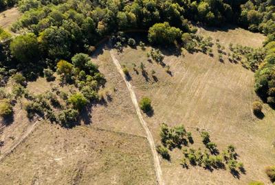 Terenuri 12.225 mp - Ramnicu Valcea, Aranghel - 9