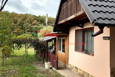 Casă cu 3 camere în Figa - 6