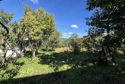 Vand sau schimb casa zona munte - 8