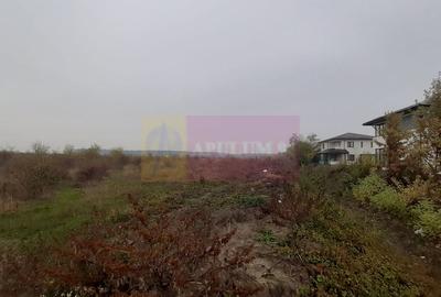 Teren în Corbeanca - 7