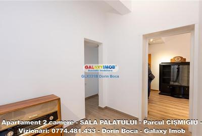 Apartament 2 camere SALA PALATULUI (Str Poiana Narciselor) CENTRALA - 22