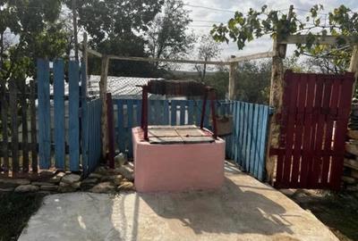 Casă cu 4 camere cu Teren 5400 Mp în Ceamurlia de Sus - 2