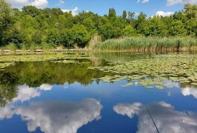 Vila 3 Camere Lacul Snagov - 4