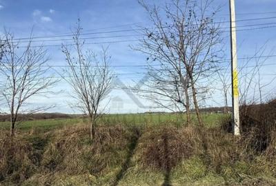 Teren în Aroneanu - 2