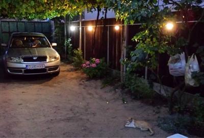 Casă cu 2 camere în Malu Mare - 2