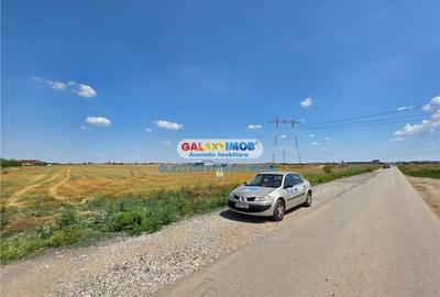 Teren Construcții intravilan de 24995 mp, în Clinceni - 7