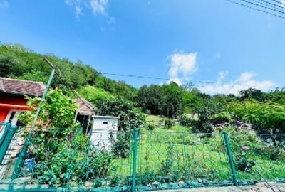 Casă la cheie în Caraș-Severin – mutare imediată - 10