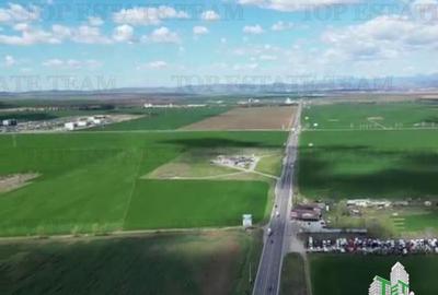 Teren de 24611 mp, în Păulești - 10