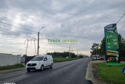 Teren de 54000 mp, în Frumușani - 3