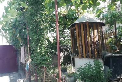 Casă cu 4 camere în Berechiu - 3