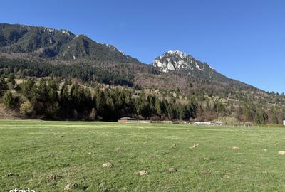 Spațiu comercial, în Plaiul Foii - 1