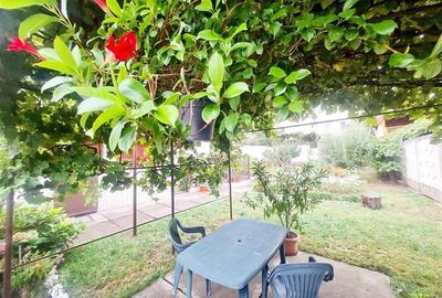 Poveste saseasca la umbra vitei de vie, cu crama si gradina cu flori, Central Co - 4