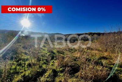 Investitie imobiliara Teren 14100 mp cu PUZ si PUD aprobat in Cisnadie Investitie imobiliara Teren 14100 mp cu PUZ si PUD aprobat in Cisnadie - 2