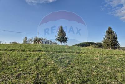 Comision 0 %/Teren intravilan 11.600mp Poiana Marului / Natura/Poveste - 16