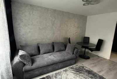 P.F Vand apartament in Plopilor cu doua camere, zona Platinia - 4