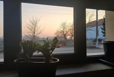 Casa cu teren generos - zona metropolitana Oradea - 1