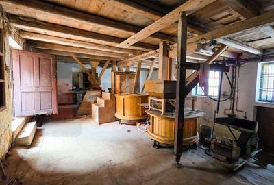 Casa + Moara + Spatiu Comercial, langa Primarie, 3 intrari |VIDEO - 5