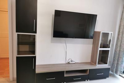Garsonieră semidecomandată în Dosu Bricii - 4