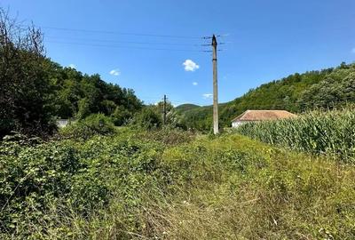 Teren de 2900 mp, în Zam - 5