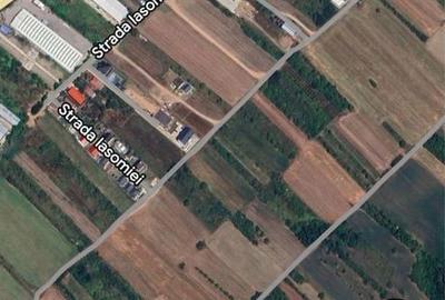 Teren de 2500 mp, în Afumați - 5