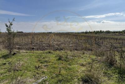 Teren 5216 mp la drum principal com. Ratesti - 5