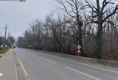 Spațiu comercial, în Mogoșoaia - 6