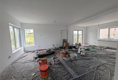 Vila cu 4 camere in zona liniistita Visan (comuna Barnova), Iasi  ideala pentru - 3