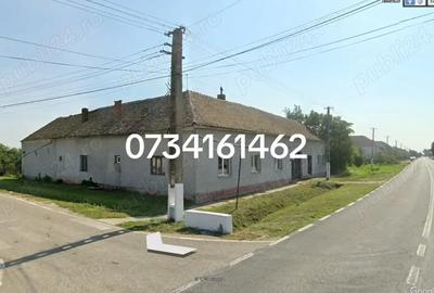 Casă cu 8 camere cu Teren 1250 Mp în Cenad - 5