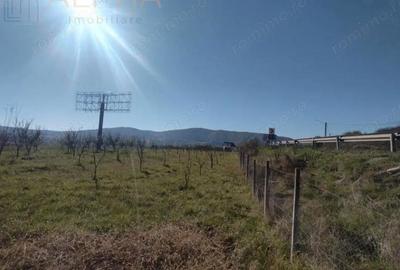 Teren de 12300 mp, în Crainimăt - 4