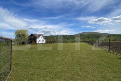Teren de 2500 mp, în Central