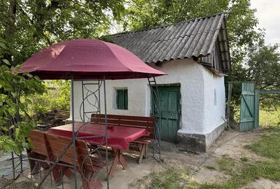Casa taraneasca cu teren de 5500 mp. - Uileacu de munte - IMOBIHOR - 2