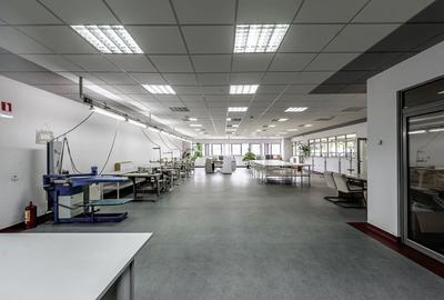 Oportunitate: Hala de productie si depozitare cu birouri in Arad - 5
