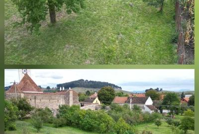 Spațiu comercial, în Sânpetru - 3