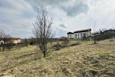 Teren de 655 mp, în Făget - 2