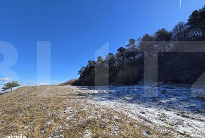 Teren de 4000 mp, în Făget - 8