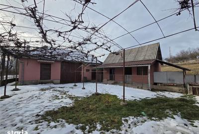 Casă cu 4 camere cu Teren 830 Mp în Bratca - 7