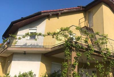 Casă cu 9 camere decomandat cu Teren 3000 Mp în Vladimirescu - 15