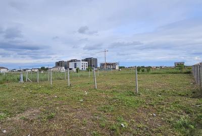 Teren veterani / 500 mp / deschidere 19,66