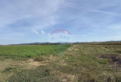 Teren Investitii 2.5 Ha | Zona Tetarom III Rascruci - 3