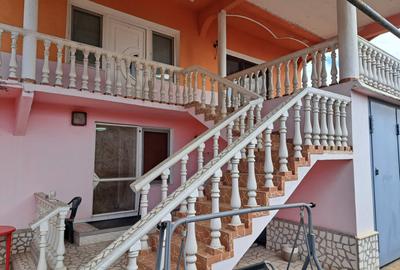 Casa mare cu 2 spatii comerciale, in Faget - 36