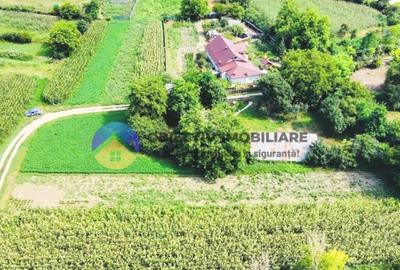 TEREN intravilan GIROV 4133 mp - 2