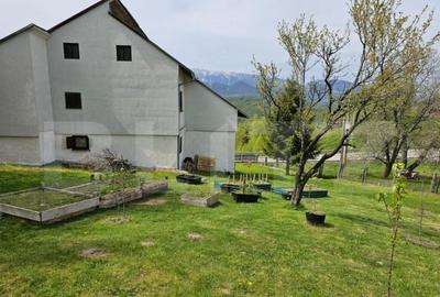 Casă cu 5 camere cu Teren 1789 Mp în Central