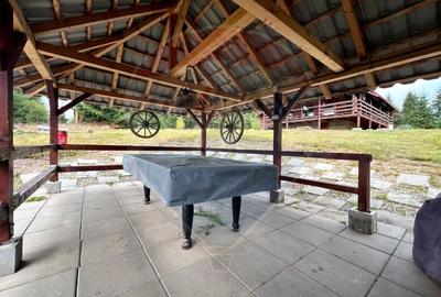 Casă individuală cu 4 camere cu Garaj în Beliș - 28