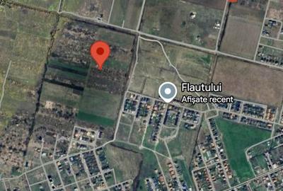 Teren Construcții intravilan de 620 mp, în Moșnița Veche