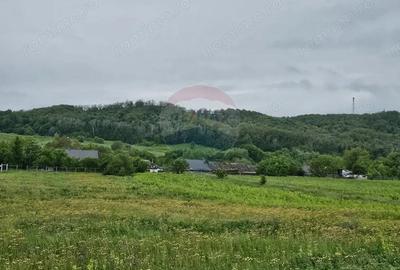 Teren de 1495 mp, în Dobreni
