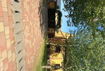 Casă cu 5 camere în Sânnicolau Mare - 6