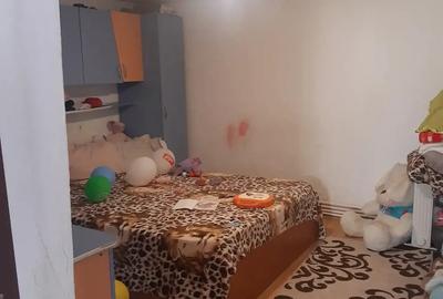 Un col? de lini?te!.Casa si teren!!! - 4
