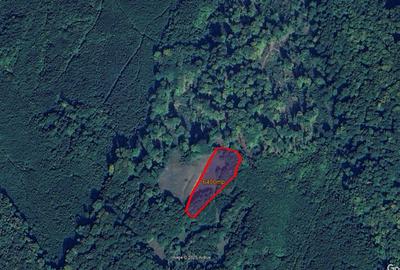 Teren de 6400 mp, în Budila - 1