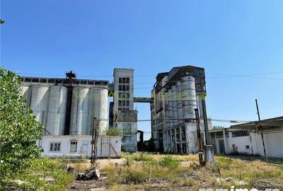Oportunitate in Peris- teren, spatii industriale, silozuri 18000 tone- inchiriere tot sau partial - 4